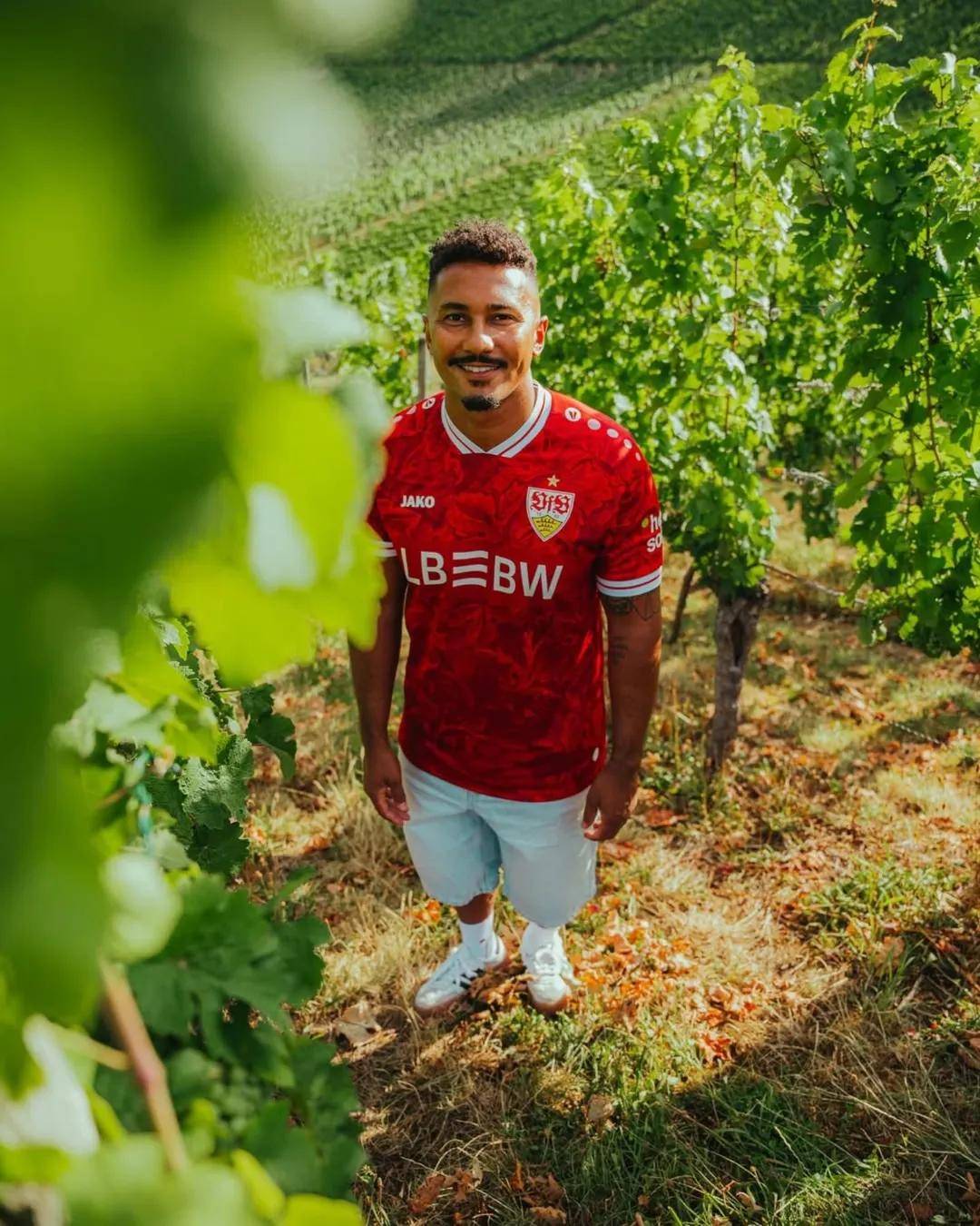 斯图加特踉跄新赛季，陷入连败泥潭的简单介绍