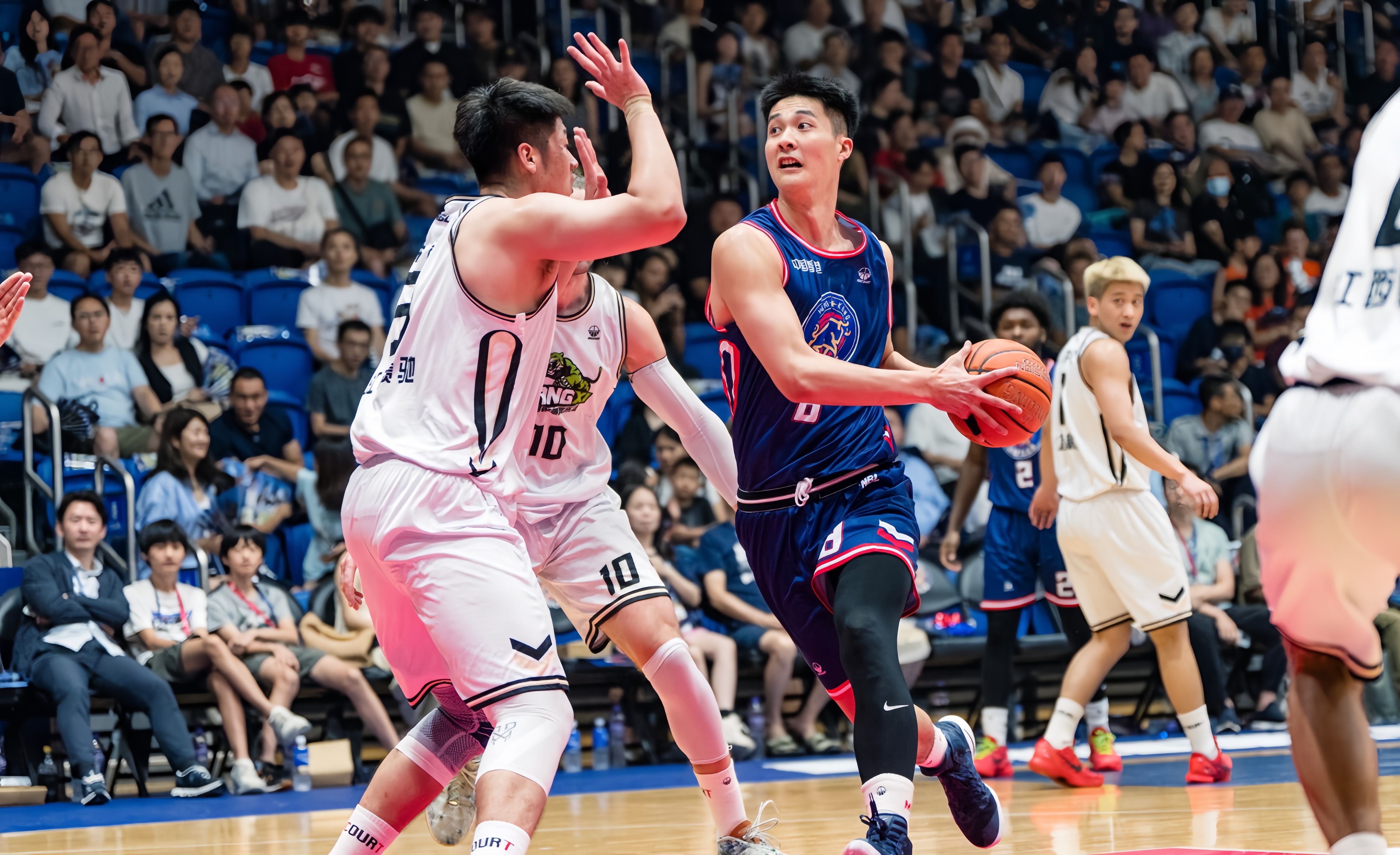 熊猫体育手机客户端-职业篮球联赛精彩纷呈，球队逐渐脱颖而出的简单介绍